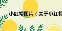 小红帽图片(关于小红帽图片的简介)