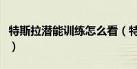 特斯拉潜能训练怎么看(特斯拉潜能开发训练)