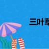 三叶草（关于三叶草的简介）