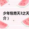少年包青天3之天芒传奇（关于少年包青天3之天芒传奇的简介）