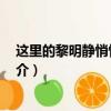 这里的黎明静悄悄 电影（关于这里的黎明静悄悄 电影的简介）