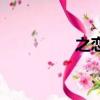 之恋（关于之恋的简介）
