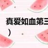 真爱如血第三季（关于真爱如血第三季的简介）
