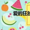 爱的狂放（关于爱的狂放的简介）