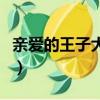 亲爱的王子大人（关于亲爱的王子大人的简介）