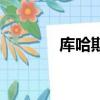 库哈斯（关于库哈斯的简介）