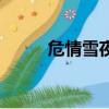 危情雪夜（关于危情雪夜的简介）