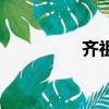 齐祖（关于齐祖的简介）