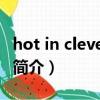 hot in cleveland（关于hot in cleveland的简介）