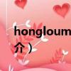 hongloumeng（关于hongloumeng的简介）