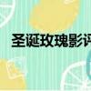 圣诞玫瑰影评（关于圣诞玫瑰影评的简介）
