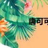 唐可可（关于唐可可的简介）