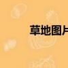 草地图片（关于草地图片的简介）
