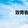 致青春 （关于致青春 的简介）
