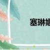 塞琳娜（关于塞琳娜的简介）
