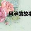 风筝的故事（关于风筝的故事的简介）