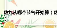 数九从哪个节气开始算(数九从哪个节气开始)