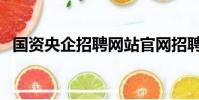 国资央企招聘网站官网招聘(国资委招聘)