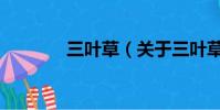 三叶草(关于三叶草的简介)
