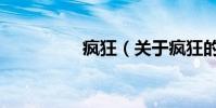 疯狂(关于疯狂的简介)