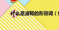 什么是波鞋的形容词(什么是波鞋)