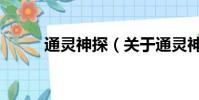 通灵神探(关于通灵神探的简介)