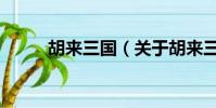 胡来三国(关于胡来三国的简介)