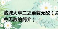 赌城大亨二之至尊无敌(关于赌城大亨二之至尊无敌的简介)