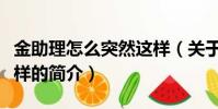 金助理怎么突然这样(关于金助理怎么突然这样的简介)