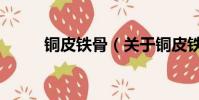 铜皮铁骨(关于铜皮铁骨的简介)