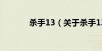 杀手13(关于杀手13的简介)
