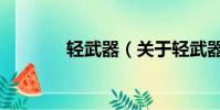 轻武器(关于轻武器的简介)
