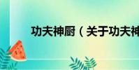 功夫神厨(关于功夫神厨的简介)
