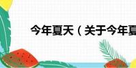 今年夏天(关于今年夏天的简介)
