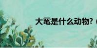 大鼋是什么动物?(大鼋)