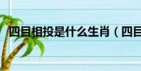 四目相投是什么生肖(四目相对打一生肖)