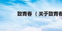 致青春 (关于致青春 的简介)