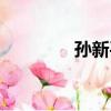 孙新平（关于孙新平介绍）