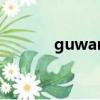 guwan（关于guwan的简介）