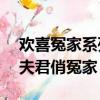 欢喜冤家系列1:冷面夫君俏冤家 小说（冷面夫君俏冤家）