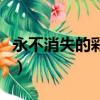 永不消失的彩虹（关于永不消失的彩虹的简介）