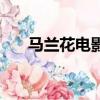 马兰花电影（关于马兰花电影的简介）