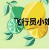 飞行员小姐（关于飞行员小姐的简介）