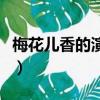 梅花儿香的演员（关于梅花儿香的演员的简介）
