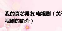 我的真芯男友 电视剧(关于我的真芯男友 电视剧的简介)