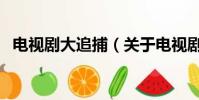 电视剧大追捕(关于电视剧大追捕的简介)