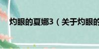 灼眼的夏娜3(关于灼眼的夏娜3的简介)