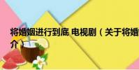 将婚姻进行到底 电视剧(关于将婚姻进行到底 电视剧的简介)