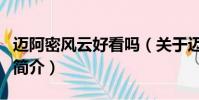 迈阿密风云好看吗(关于迈阿密风云好看吗的简介)