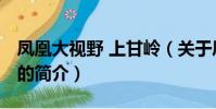 凤凰大视野 上甘岭(关于凤凰大视野 上甘岭的简介)